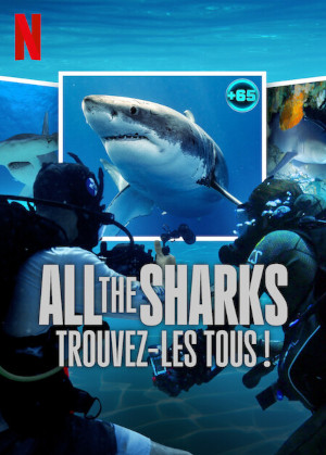 All The Sharks : Trouvez-les Tous !