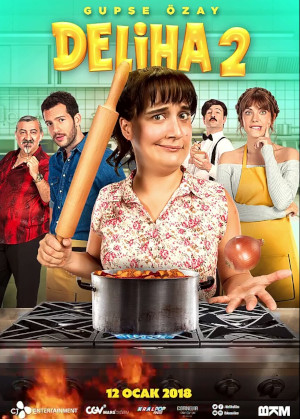 DELIHA 2