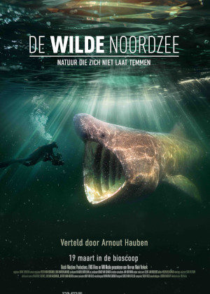 De Wilde Noordzee