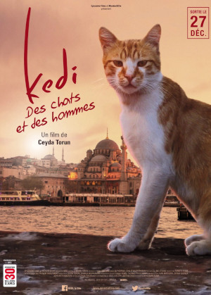 KEDI