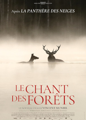 Le Chant Des ForÊts