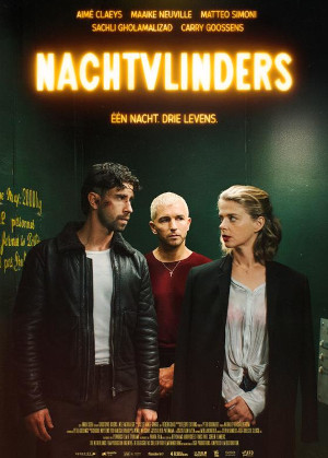 Nachtvlinders