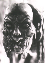 SPECIES 2