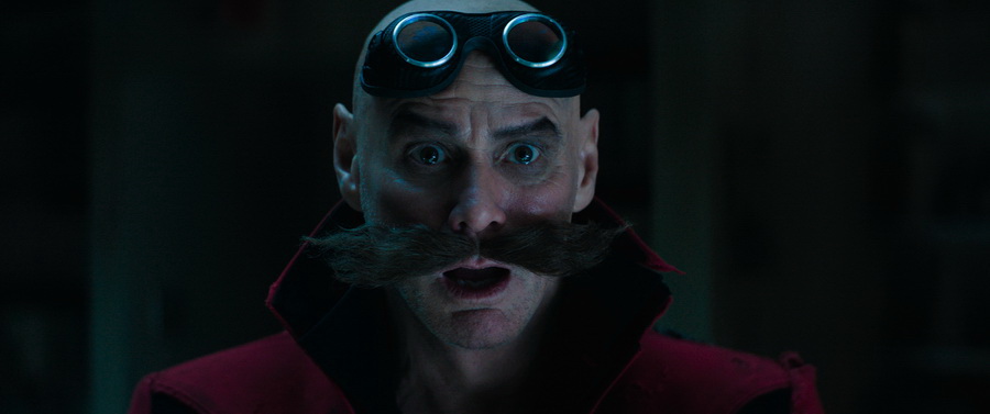 23117